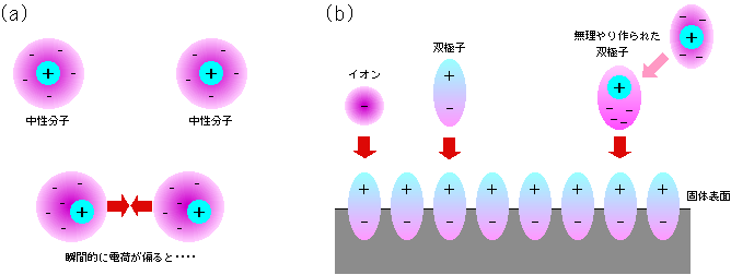 図6