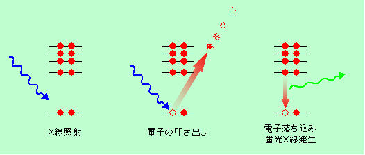 図6