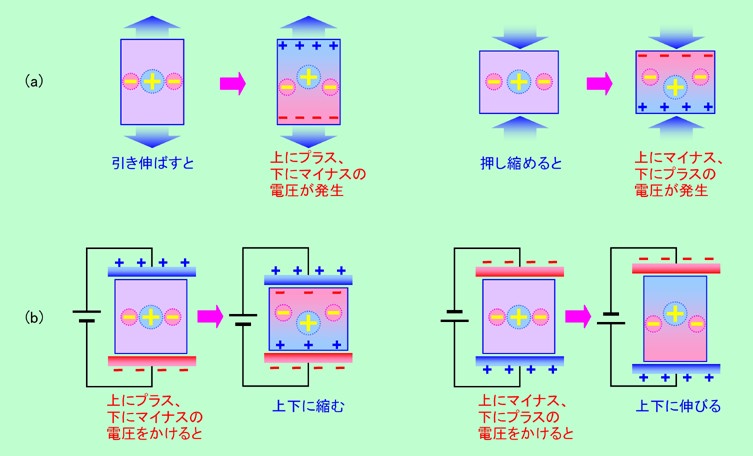 図1