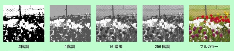 図1