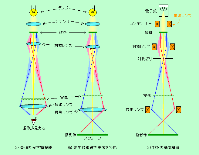 図1