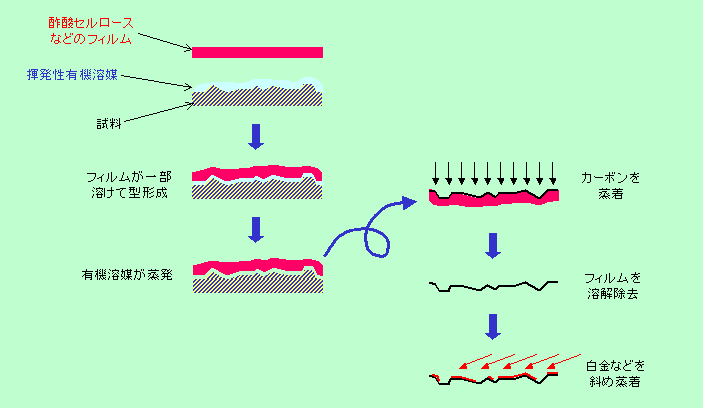 図10
