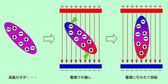 図5
