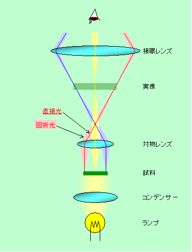 図1