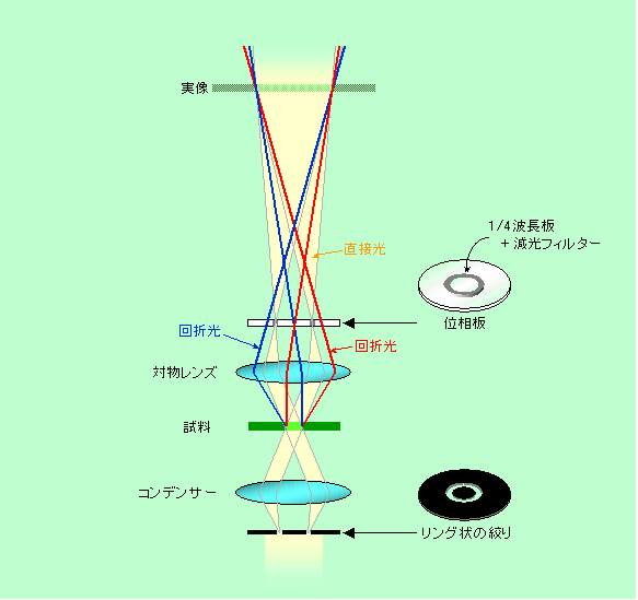 図5