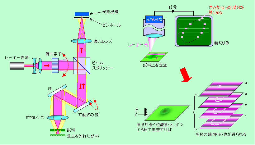 図10