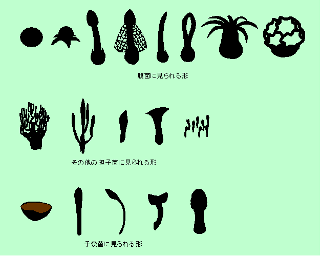 図3