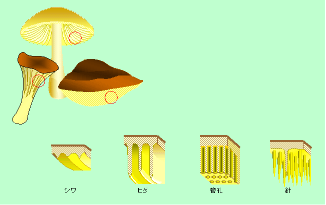 図4