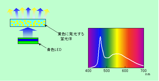 図6