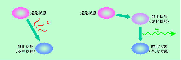 図11