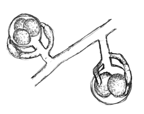 図6