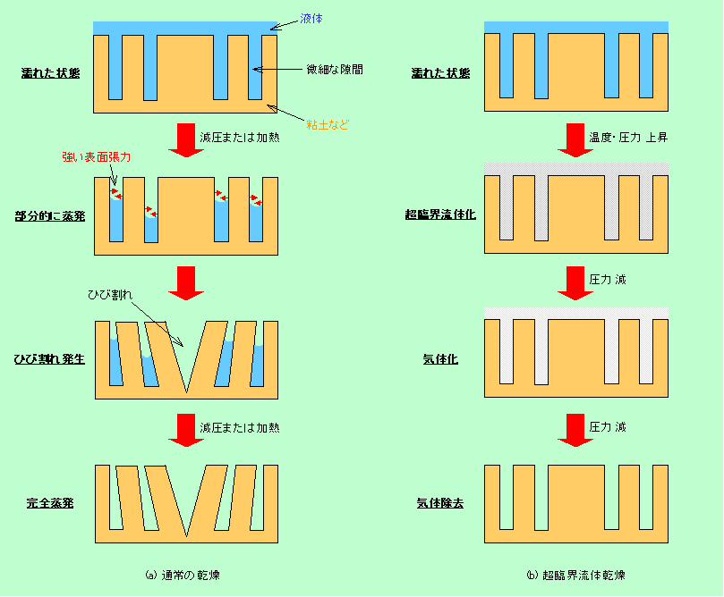 図10