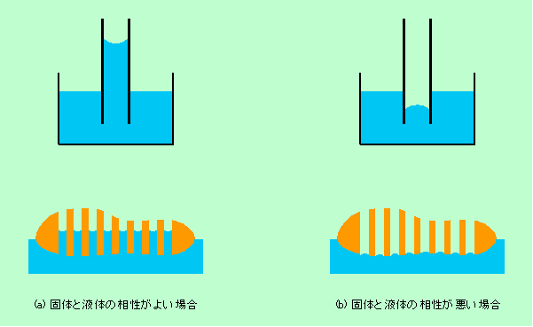 図5