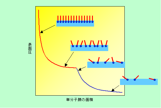 図7